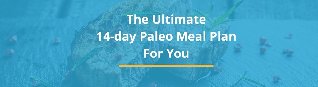 paleo diet wellness captain