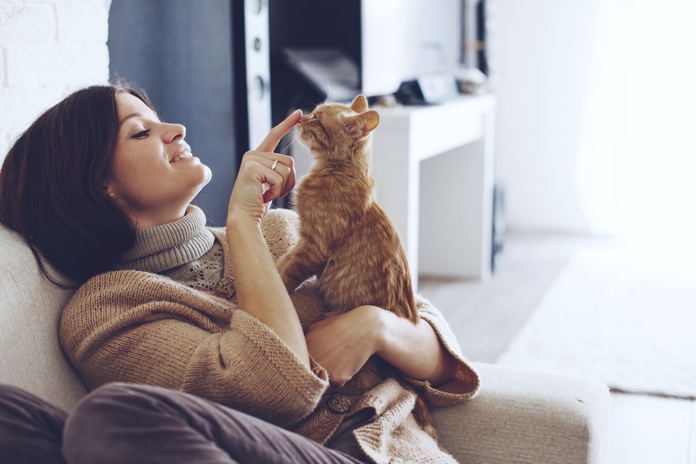 8 Most Common Diseases You Can Get from Your Pet 1